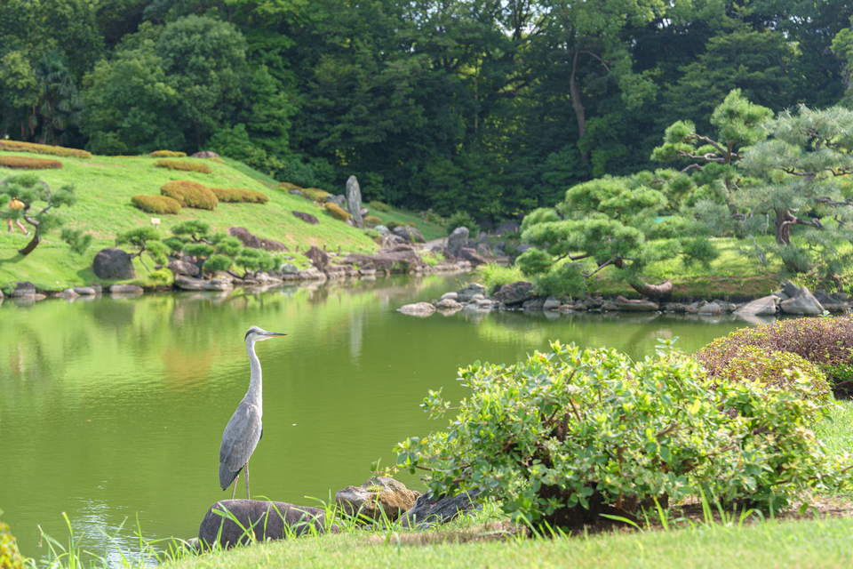 みどり銀賞　田口哲也さんの作品「緑の静寂」