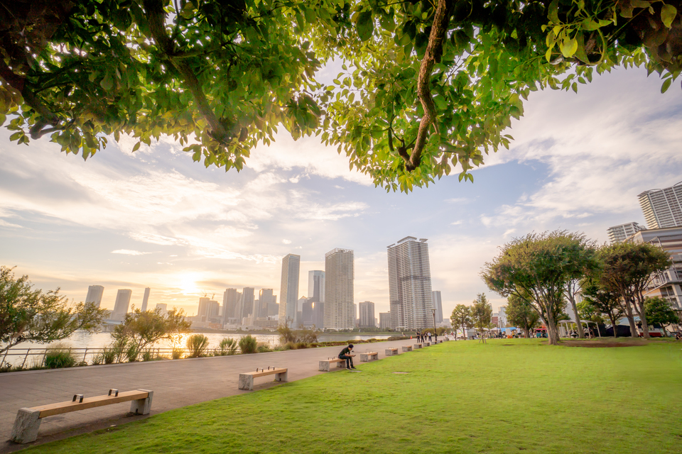みどり金賞（江東区長選出）　渡辺ヨシユキさんの作品「緑とやわらかな時間」