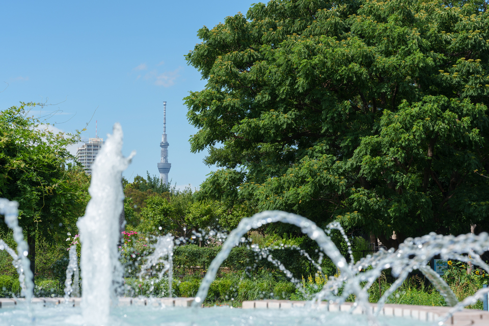 入選　田口哲也さんの作品「江東区のオアシス」