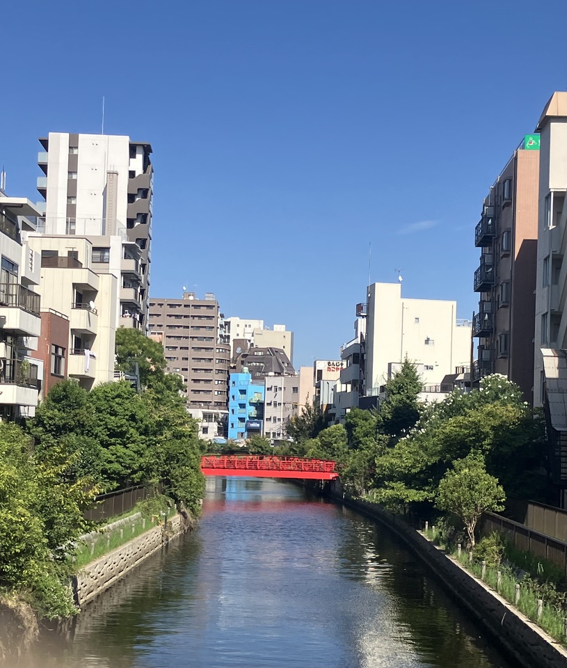佳作　ヒラソル109さんの作品「新田橋を眺めて」