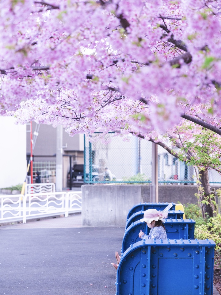入選　kaeさんの作品「桜の下、立ち止まる」