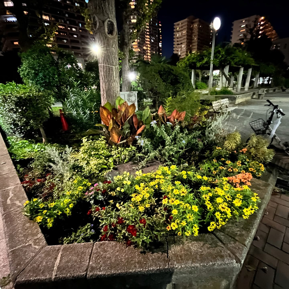 入選　東方陽子コミュニティガーデンアンバサダーさんの作品「江東区のコミュニティガーデンの魅力発信！江東区を花と笑顔でいっぱいに🌸」