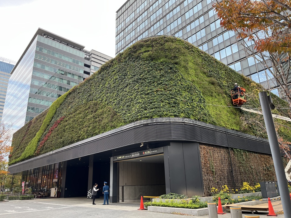 佳作　koto_midori25さんの作品「壁面緑化」