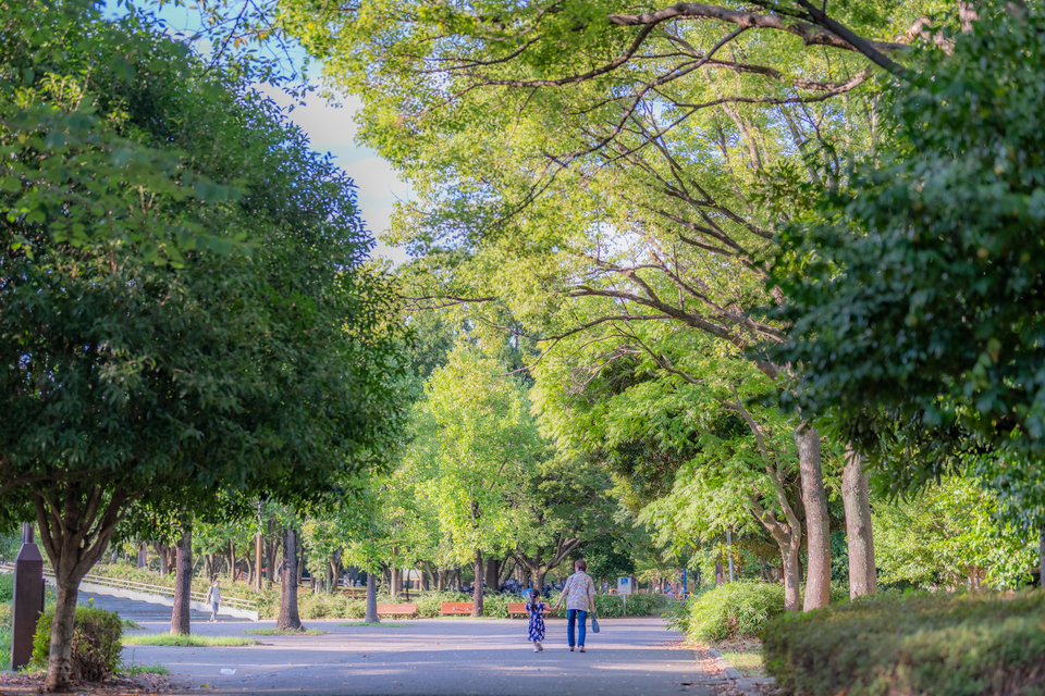 入選　hiro2017さんの作品「夏の記憶」