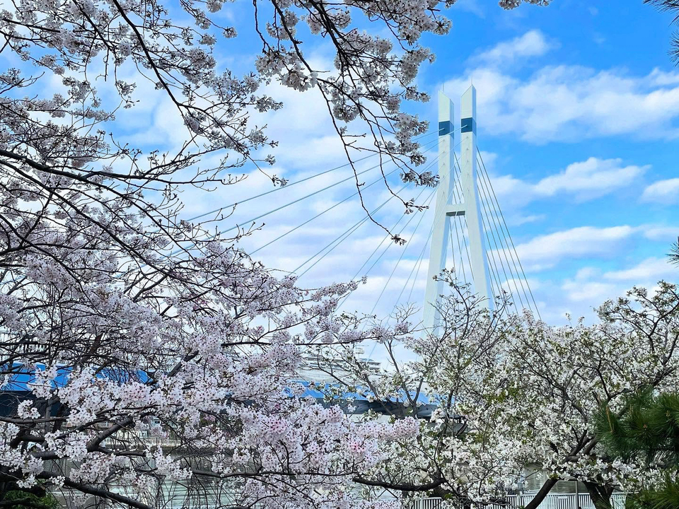 入選　art0926さんの作品「名は体を表す」