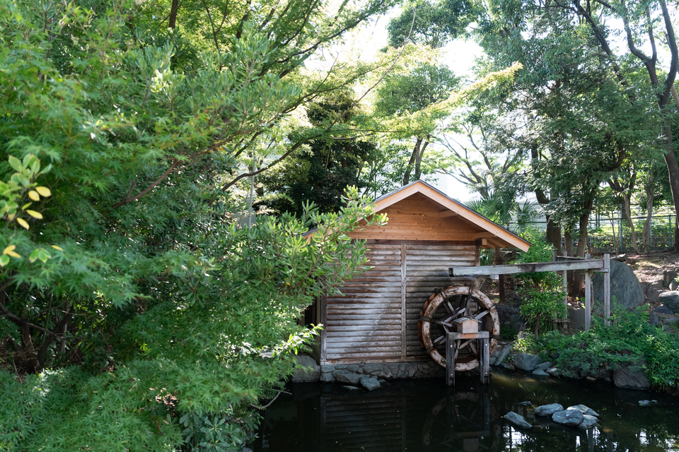 入選　田口哲也さんの作品「緑に囲まれる水車」