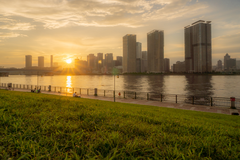 佳作　渡辺ヨシユキさんの作品「夕陽と緑のあいだに」