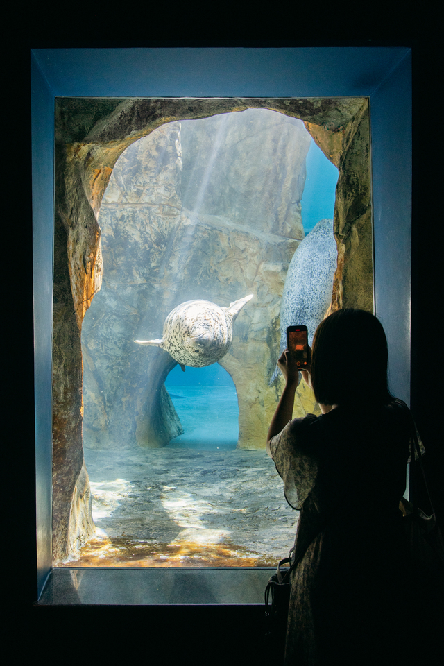 入賞　Ryuseiさんの作品「海の美術館」