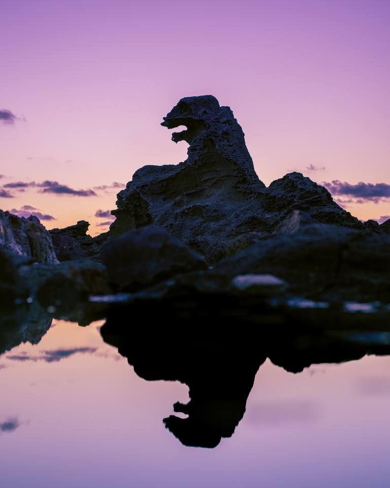 入賞　okamomochaさんの作品「誰が男鹿のゴジラは1匹だと言った？」