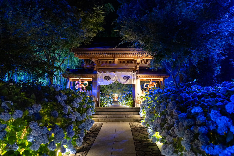 入賞　yamado.ogaさんの作品「紫陽花染（あおそめ）」