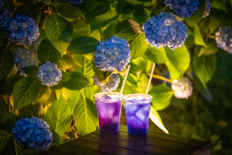 入賞　AKIKO FUKUDAさんの作品「花の灯り」