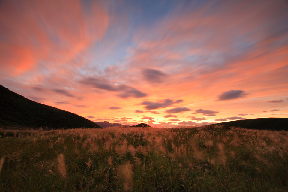 入賞　横山 俊基さんの作品「ゆれて、茜色」