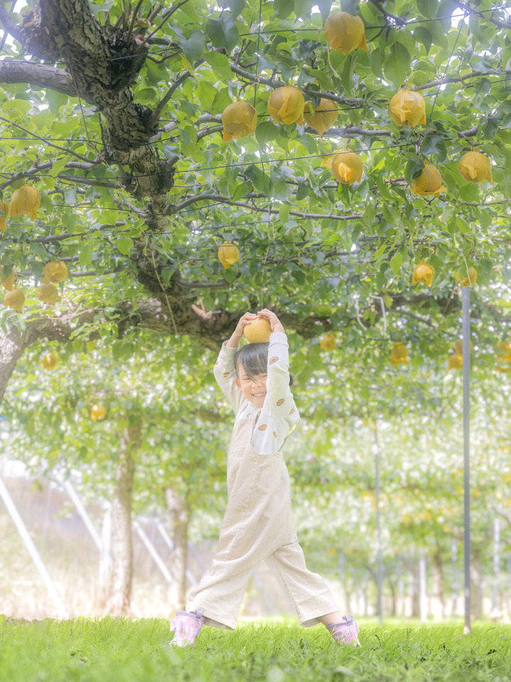 「男鹿の食」部門賞　taray_photoさんの作品「秋の“めぐみ”をのせて」
