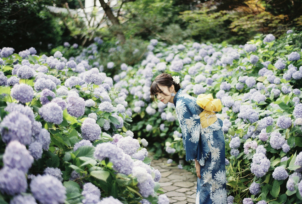 入賞　おくらさんの作品「瑠璃、ゆかりを纏う」
