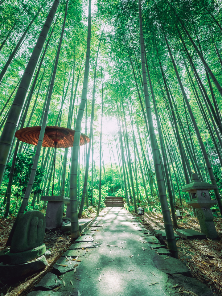 入賞　__katsu__katsu__さんの作品「極楽緑土」