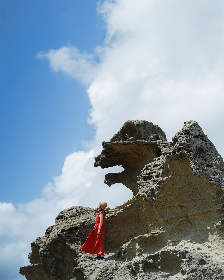 入賞　Mika.Yさんの作品「ゴジラの遺産物」