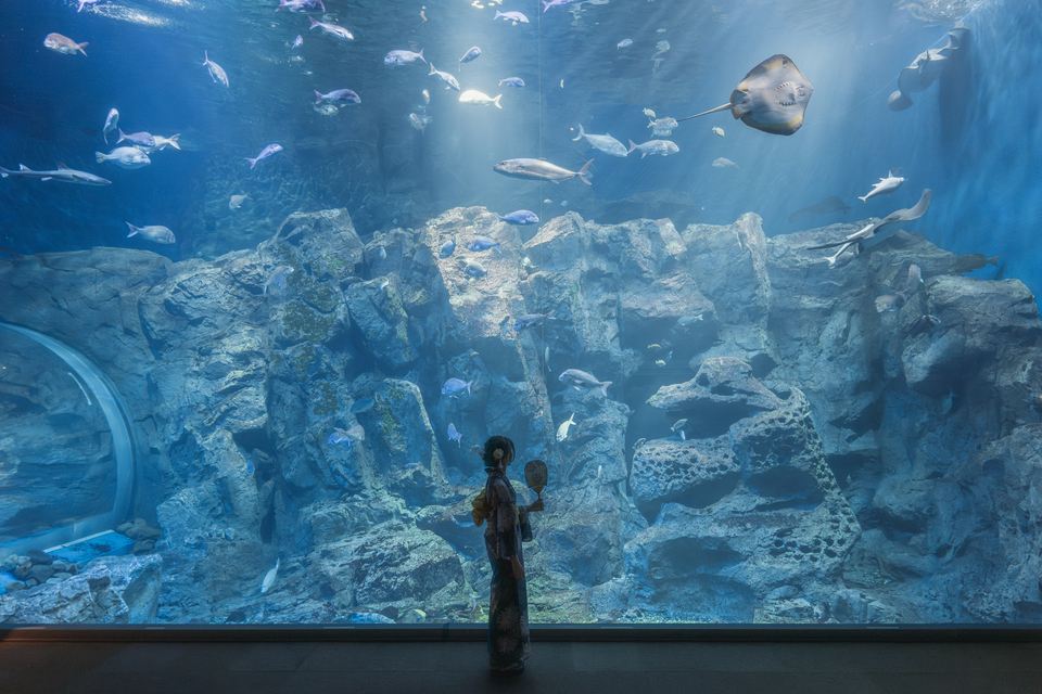 入賞　よっささんの作品「蒼の隔たり」