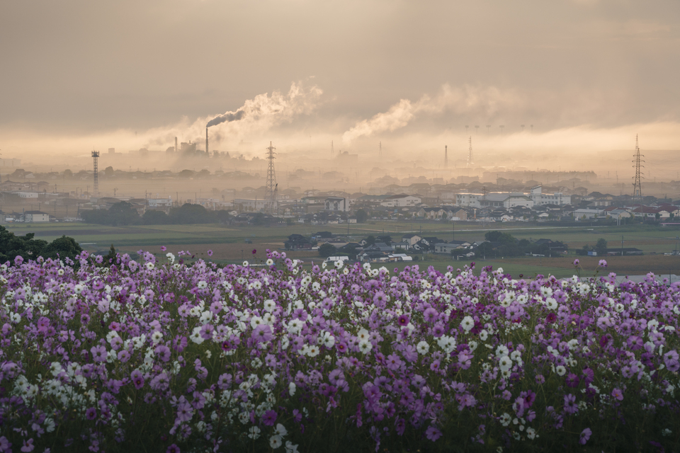入賞　岡　誠貴さんの作品「A Glorious Morning」