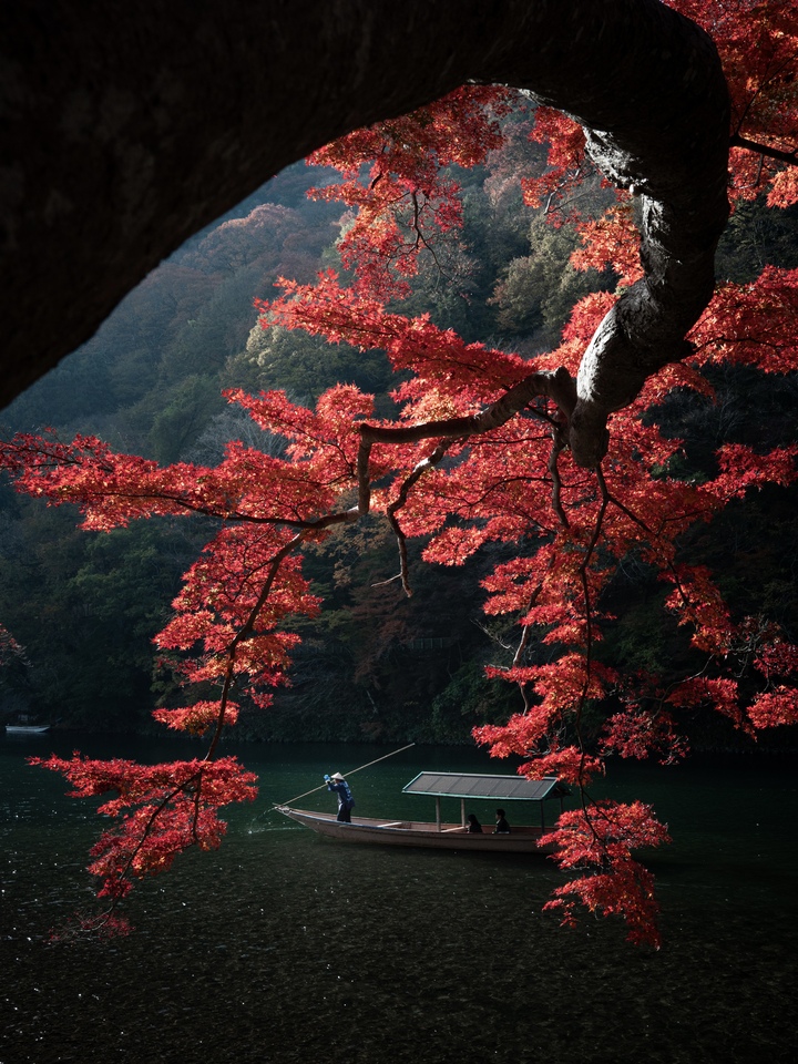 入賞　Yuki Yamadaさんの作品「錦秋を渡る」