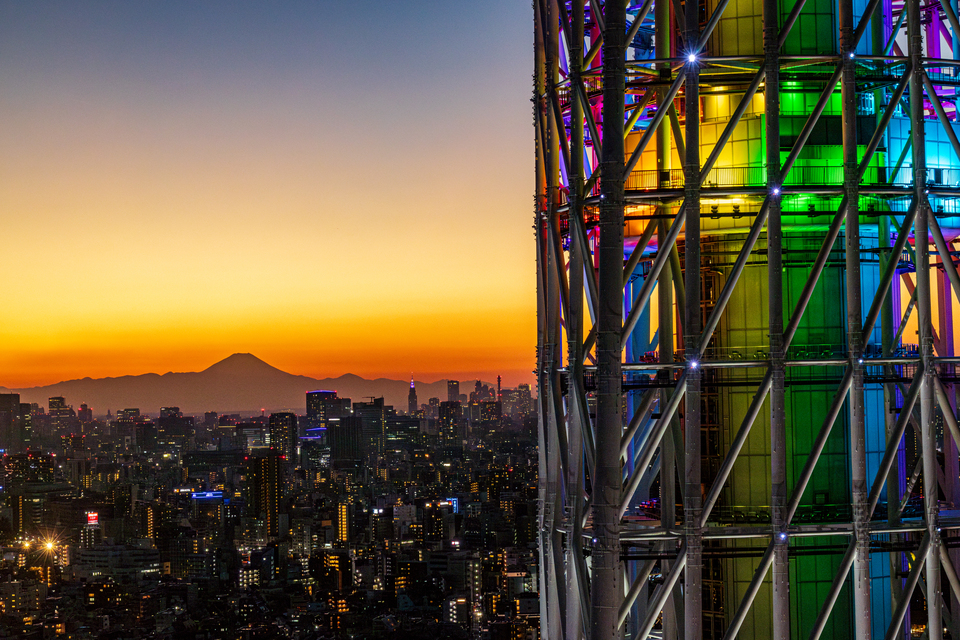 「すみだの象徴」部門賞　二滝 孝さんの作品「象徴の共演」