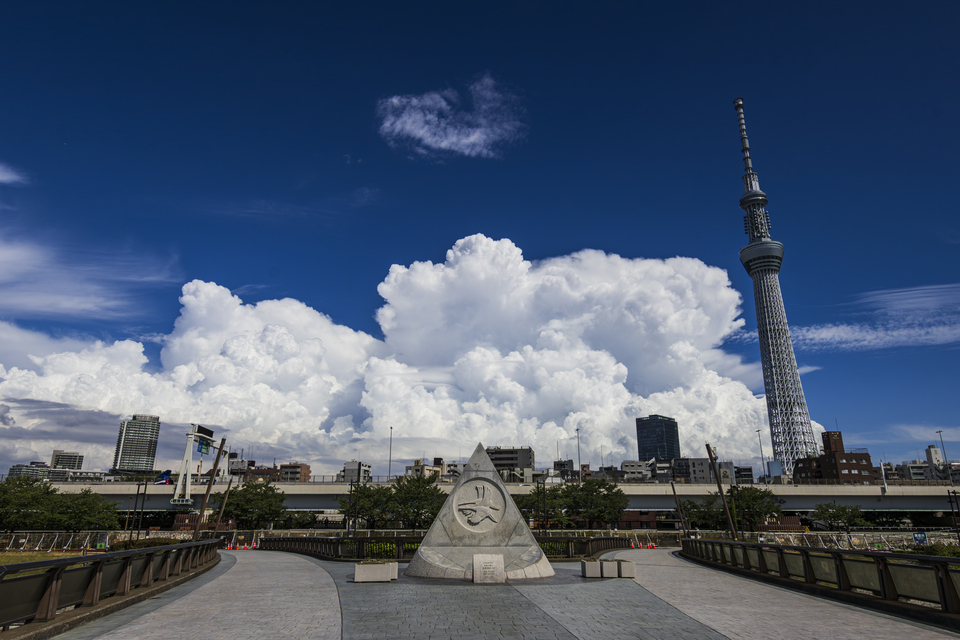 「すみだの四季・自然」部門賞　堀内 隆明さんの作品「青い空　白い雲」