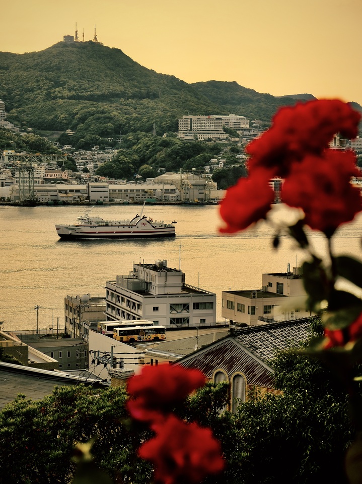 入賞　jackrose9cocktailさん