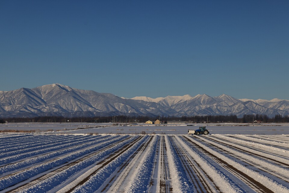 入選　gons_photographyさんの作品「春支度を見つめる国立公園」