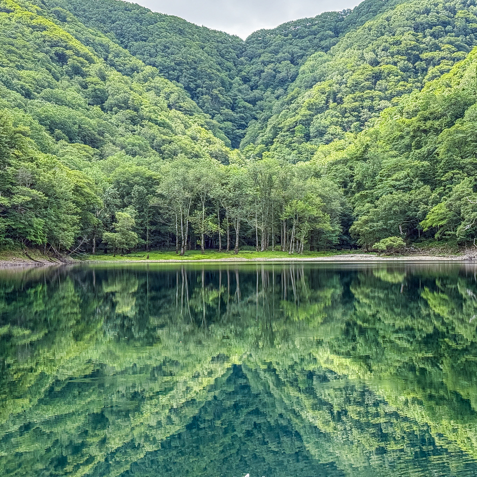 入選　岩間　康さんの作品「静（しずか）」