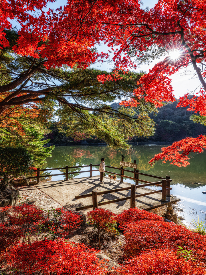 優秀賞　hirokun3377さんの作品「Be Rokko 湖畔の紅葉」