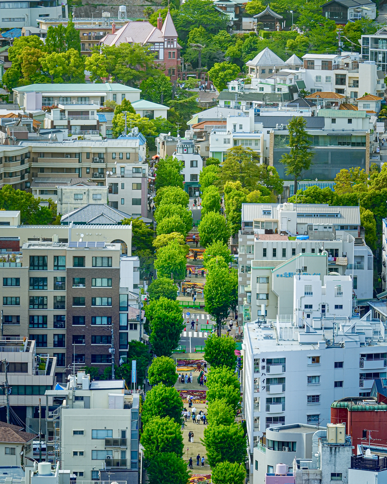 優秀賞　k.q_photoさんの作品「神戸・北野坂　春の通り道」