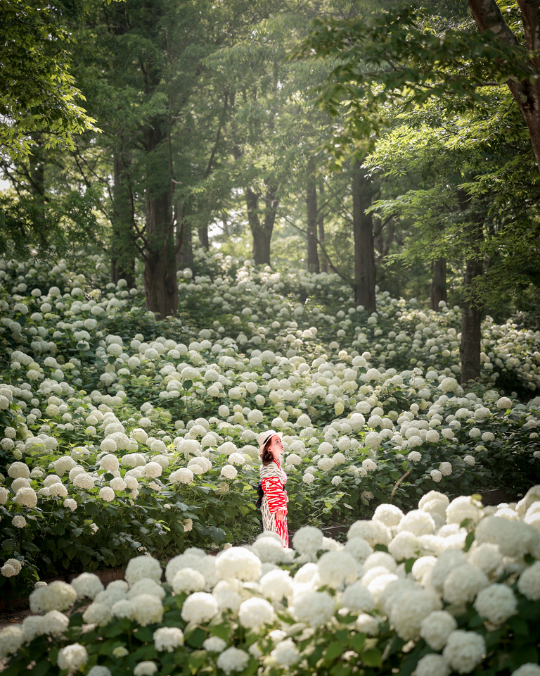優秀賞　maco_keychanさんの作品「アナベルの森」