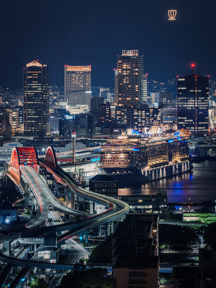 優秀賞　towerさんの作品「夜景を彩る豪華客船」
