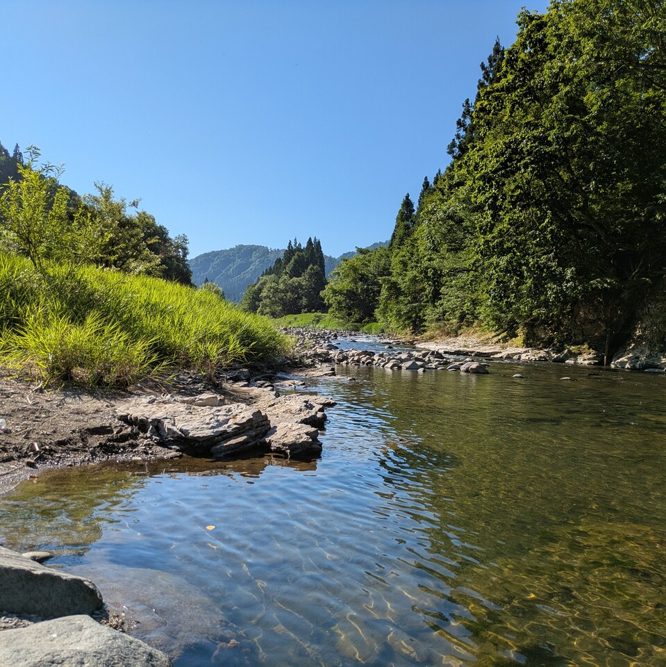 入選　川村亨さんの作品「さわやかなるせ成瀬川」