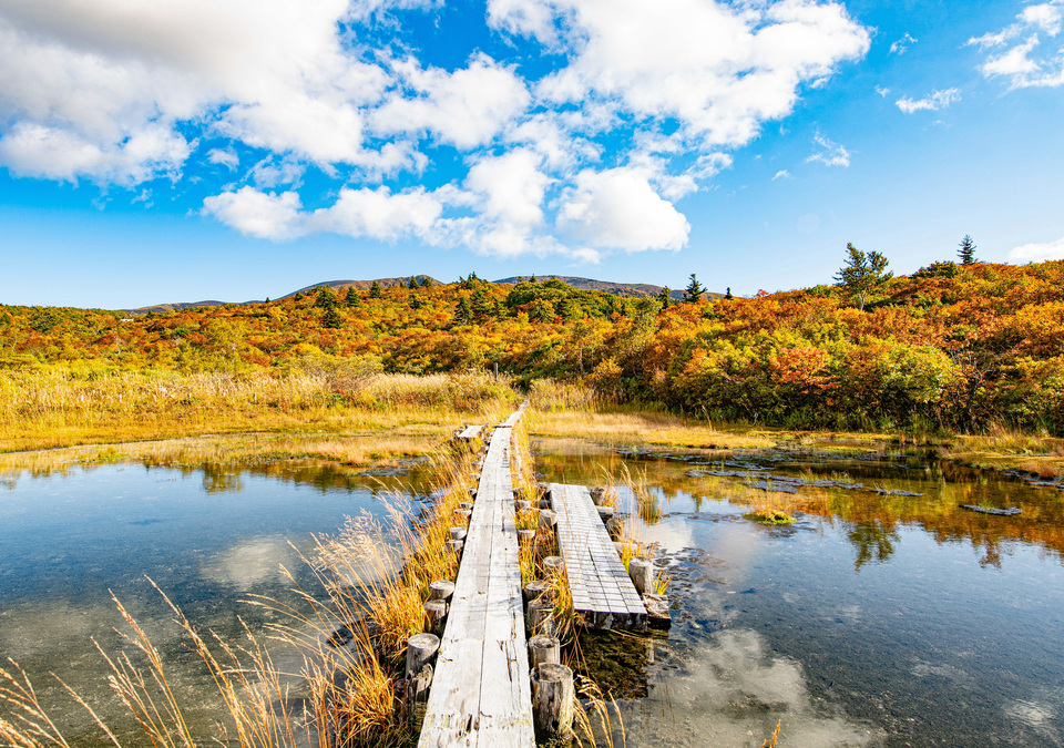 入選　Takaaki suzukiさんの作品「木道の先の桃源郷」