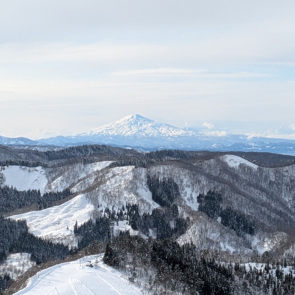 入選　小林 美和子さんの作品「仙人の庭」