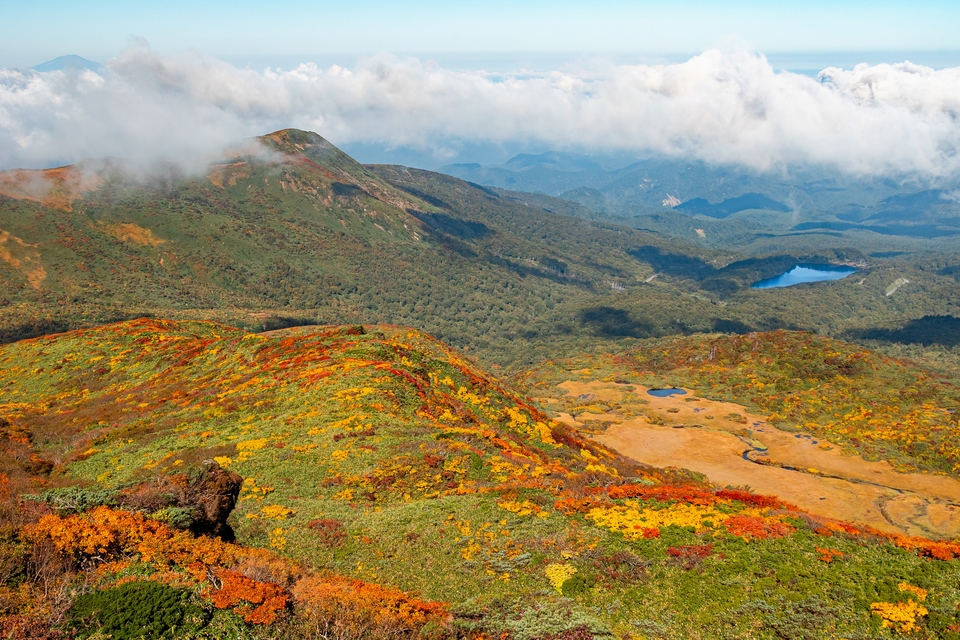 優秀賞　佐々木朋子さんの作品「錦秋のパレット」