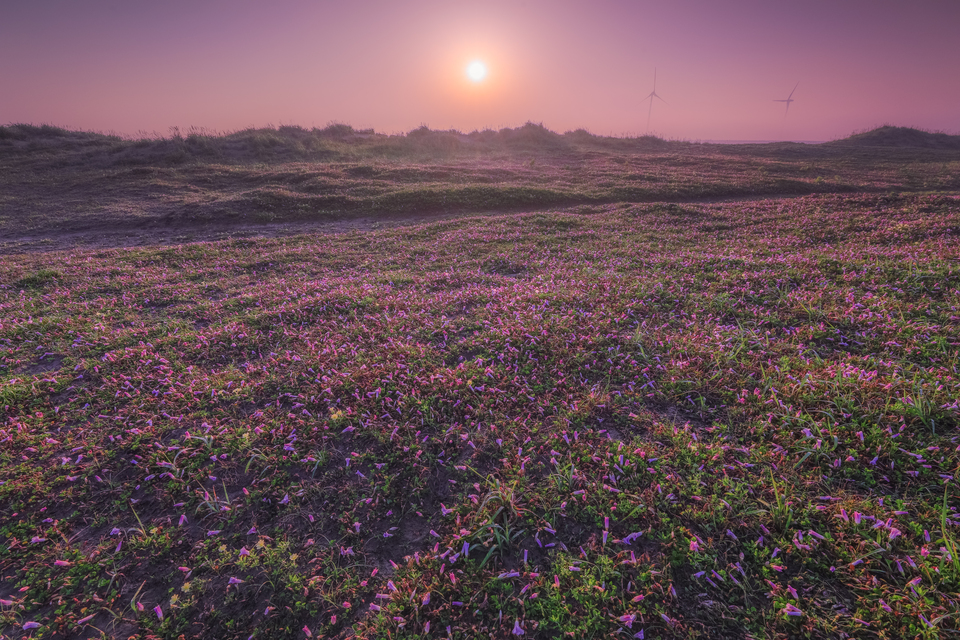 佳作（神栖の四季）　小堤晃さんの作品「初夏の朝日に包まれて」