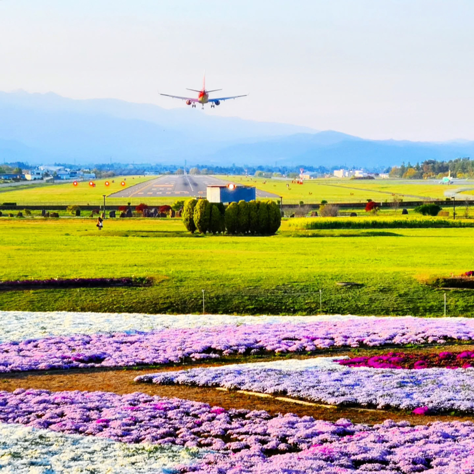 松本の春部門 優秀賞　sukom33さんの作品「信州の春」