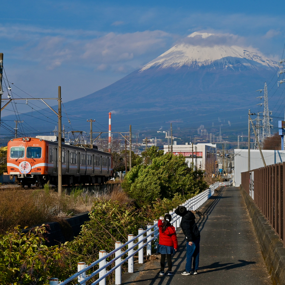 入選（富士山写真部門）　戸松 恵子さんの作品「みーつけた！」