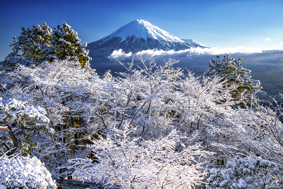 入選（富士山写真部門）　宮崎 泰一さんの作品「美しき低山の雪景色」