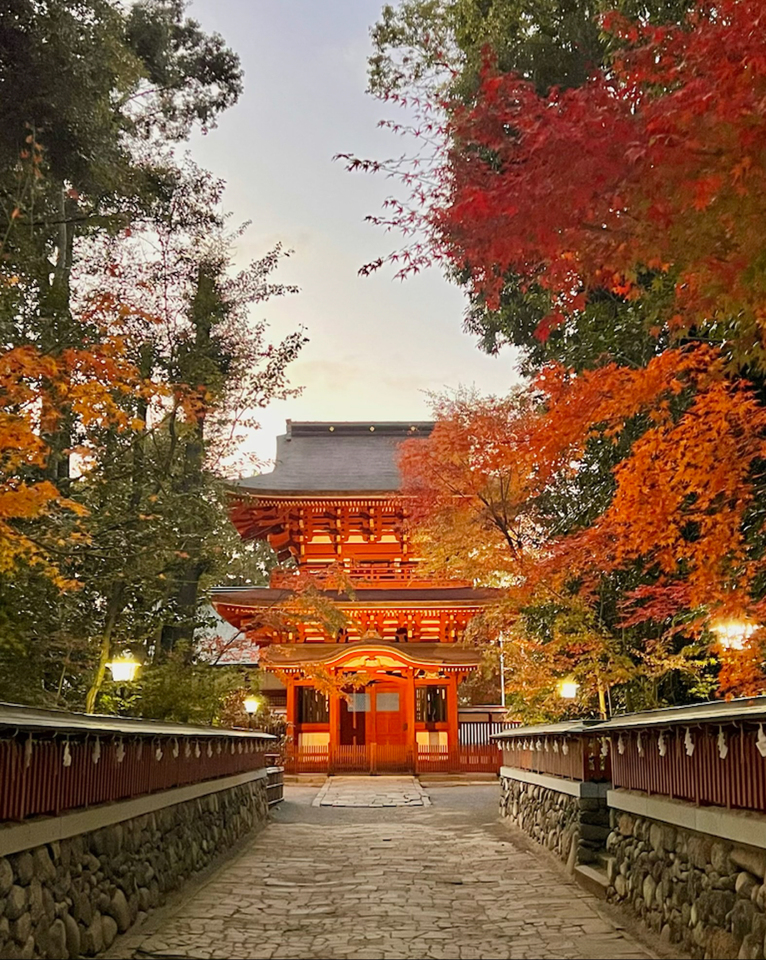 入賞　y.world251さんの作品「紅に彩られる神門」