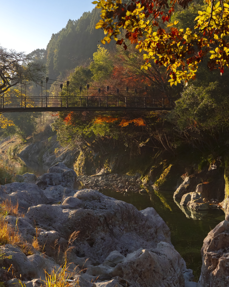 入賞　Kim Jinsooさんの作品「猿も飛び出す秋の情景」
