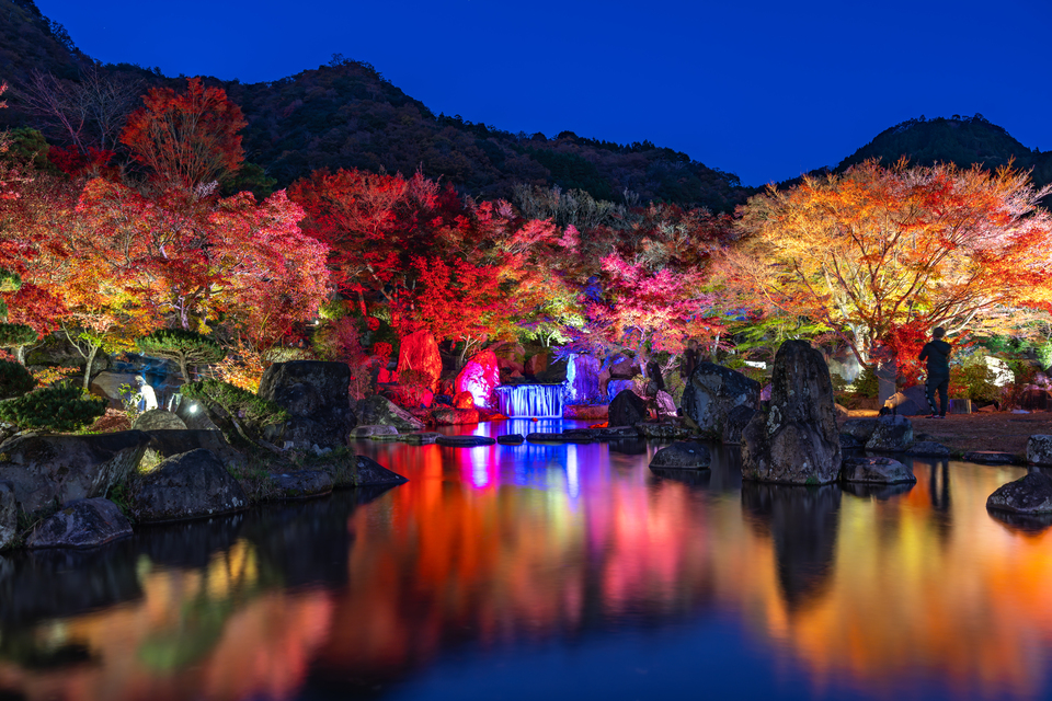 入賞　ゆきぴーさんの作品「秋夜の色彩ハーモニー」