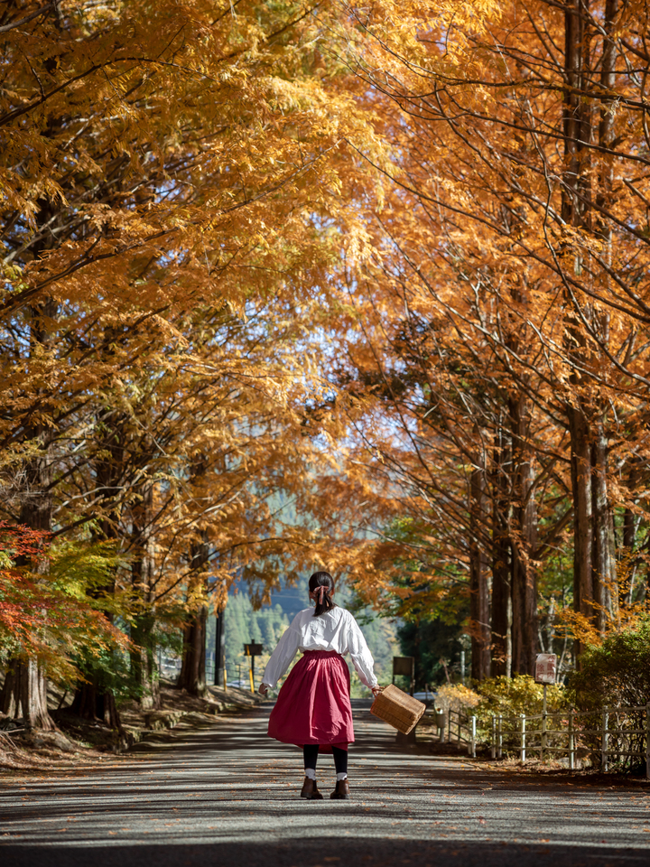 入賞　井口絵理香さんの作品「秋旅の最終地」