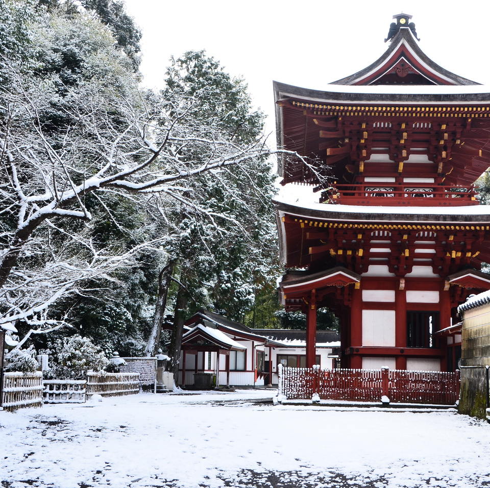 入賞　ナカシーさんの作品「雪景色の神門」