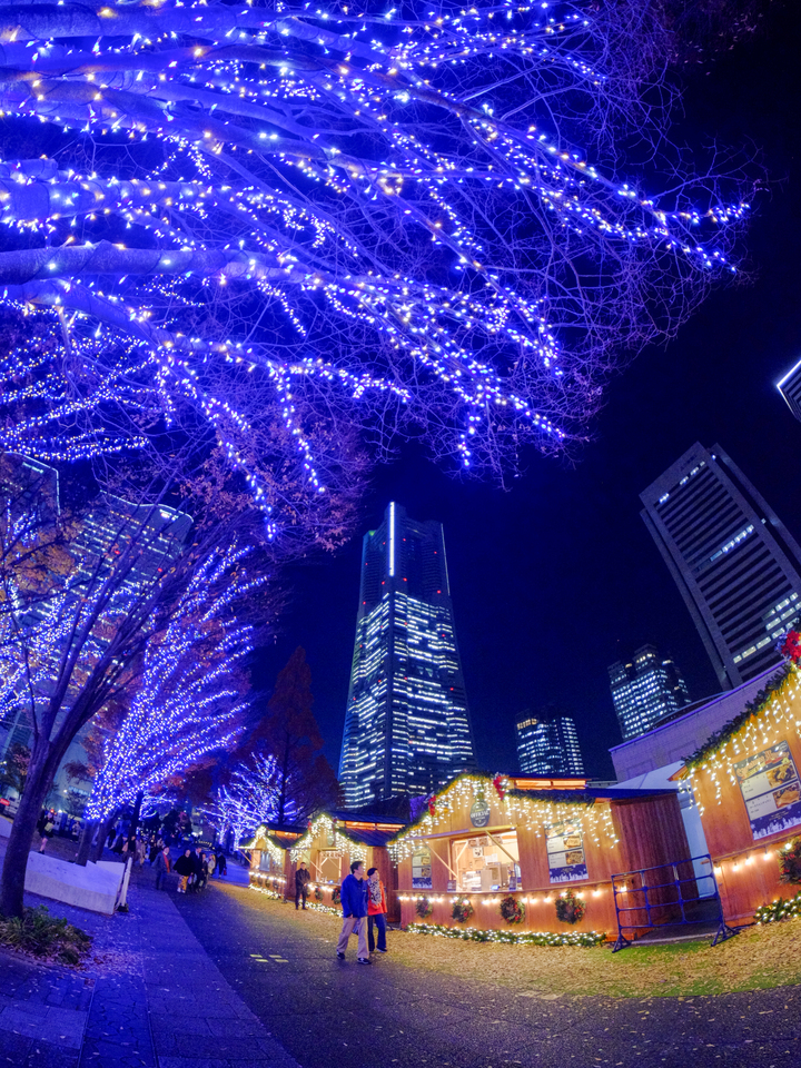 THE YOKOHAMA ILLUMINATION部門 入賞　hiro7.18さんの作品「蒼、煌めきに包まれて」