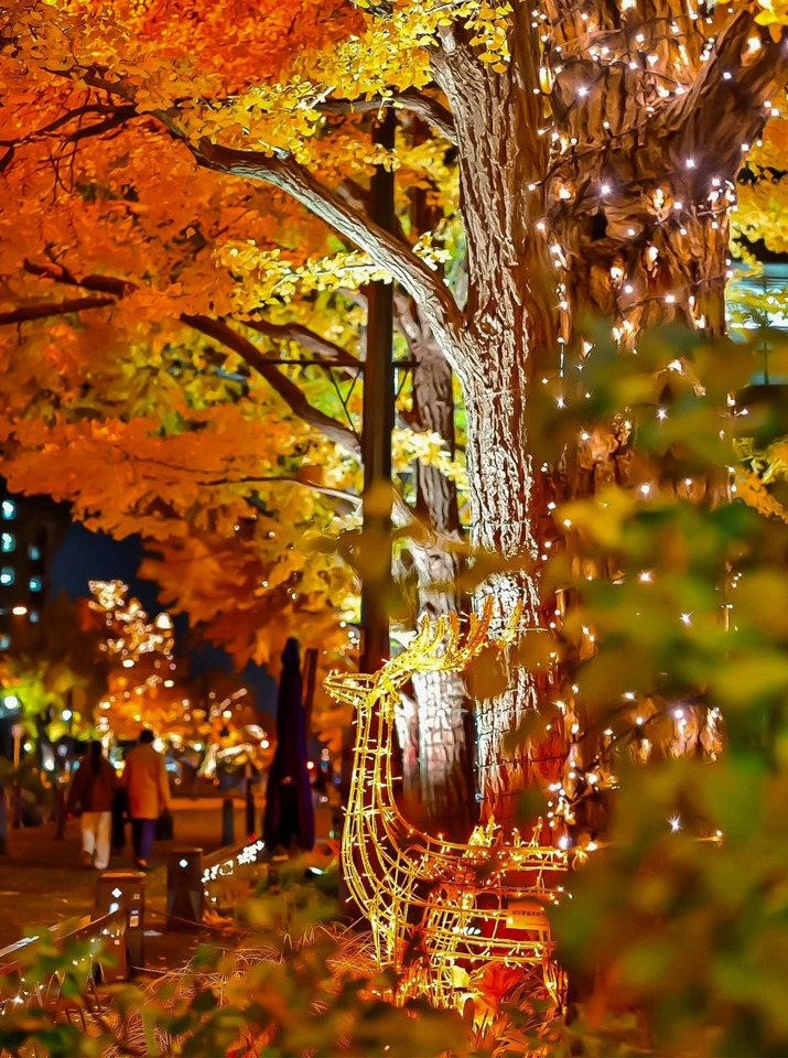 THE YOKOHAMA ILLUMINATION部門 優秀賞　happi.kiraさんの作品「黄金色の中に現れた光の使者」