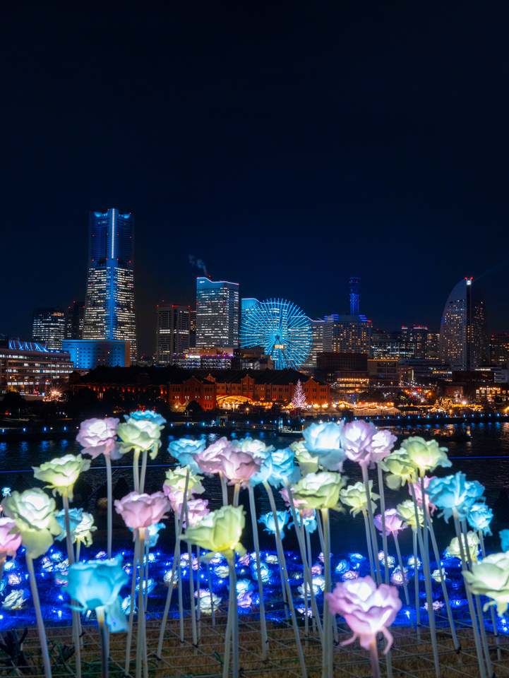 THE YOKOHAMA ILLUMINATION部門 入賞　k_kiwi_t_さんの作品「YOKOHAMA BLUE 〜バラの彩り〜」