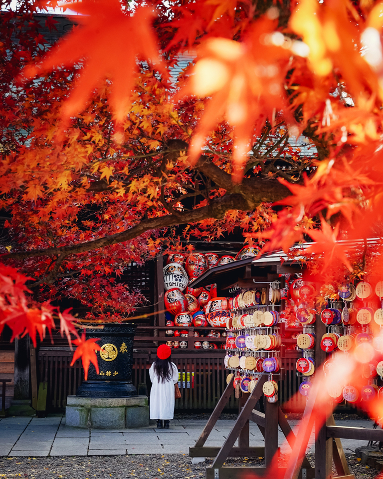 紅葉部門　mii_akkunさんの作品「紅葉燃ゆる達磨寺」