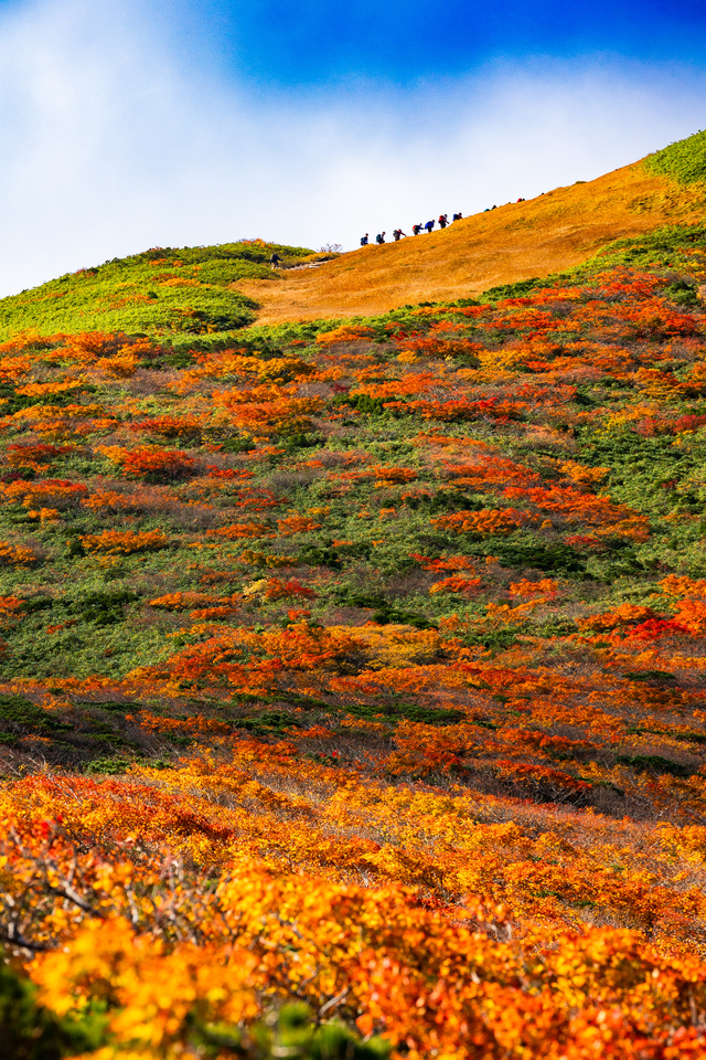 紅葉部門　佐々木朋子さんの作品「空中散歩〜紅葉の栗駒山」